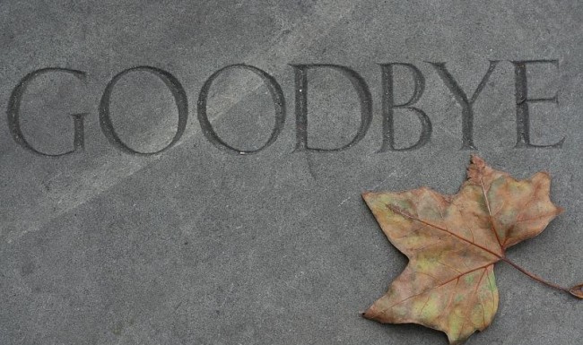 goodbye